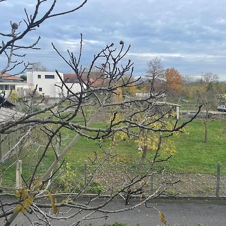 Ferienwohnung La Grange Proche D'Europapark Kunheim Exterior foto