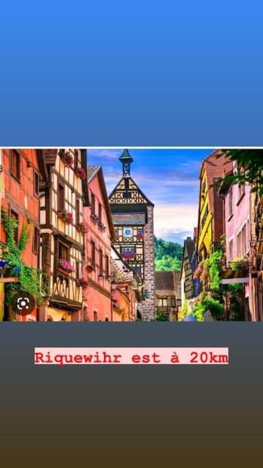 Ferienwohnung La Grange Proche D'Europapark Kunheim Exterior foto