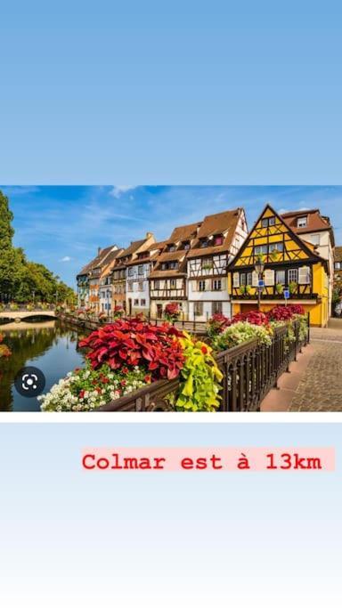 Ferienwohnung La Grange Proche D'Europapark Kunheim Exterior foto