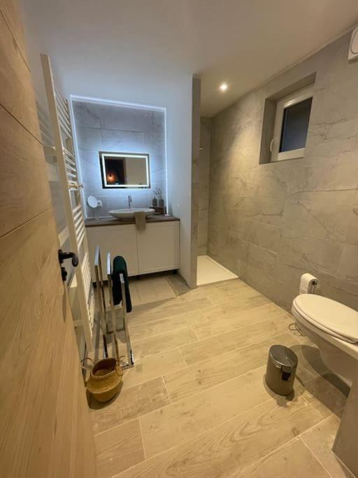 Ferienwohnung La Grange Proche D'Europapark Kunheim Exterior foto